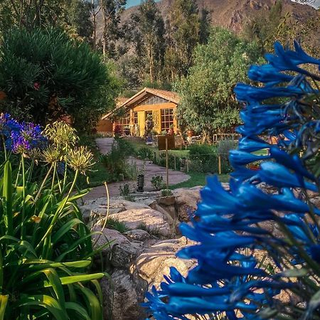 Andean Wings Valley Urubamba Dış mekan fotoğraf